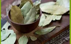 лавровый лист