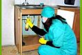 как избавиться от насекомых