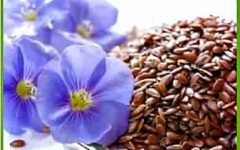 семена льна