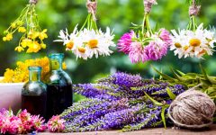 народные средства от кашля